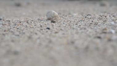 Boyunca deniz kuma yumuşakça tarar