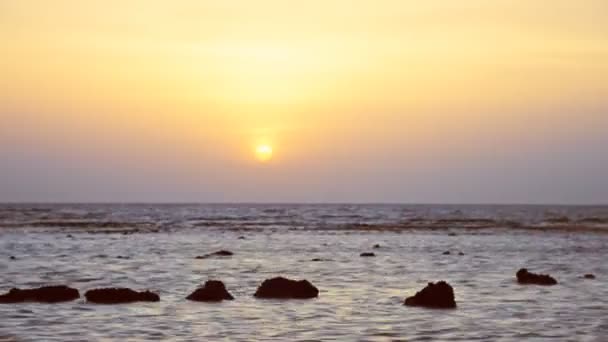 Dawn with the sea. Beach in Egypt — Stock Video