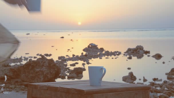 En tjej dricker kaffe på bakgrunden av havet — Stockvideo