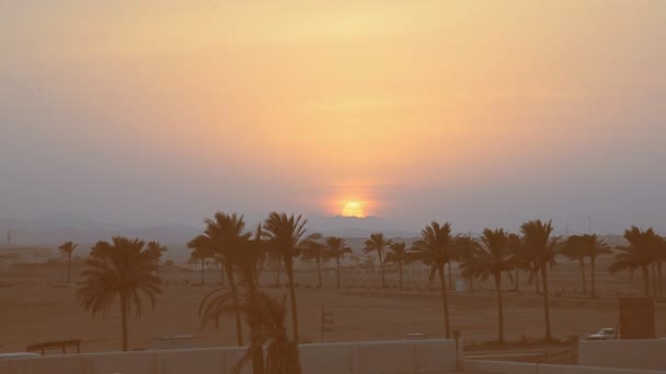 Zonsondergang in de woestijn — Stockvideo