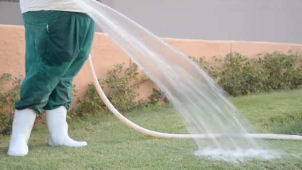 Opwarming van de aarde. Een man uit een slang giet gazons — Stockvideo