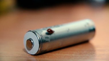 Pil. Bir uğur böceği pille çalışan