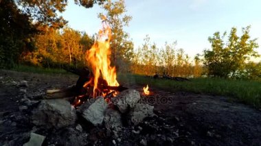 Ormanda bir yangın kızartma sosis.