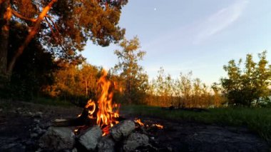 Ormanda bir yangın kızartma sosis.