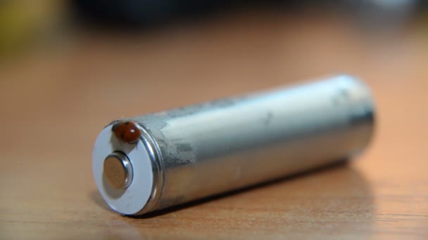 Batteria. Una coccinella funziona a batterie — Video Stock