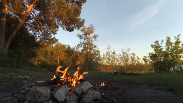 Embutidos para asar sobre un fuego en el bosque . — Vídeo de stock