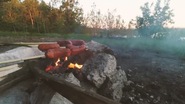 Saucisses à rôtir sur un feu dans la forêt . — Video