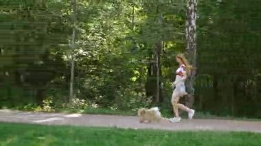 Bir kız ile bir köpek ile bir park yürüme mesafesindedir. Pomeranian Spitz