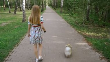 Bir kız ile bir köpek ile bir park yürüme mesafesindedir. Pomeranian Spitz