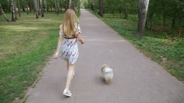 Bir kız ile bir köpek ile bir park yürüme mesafesindedir. Pomeranian Spitz
