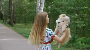 Bir kız ile bir köpek ile bir park yürüme mesafesindedir. Pomeranian Spitz
