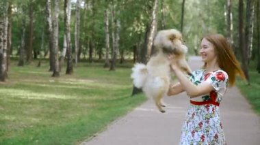 Bir kız ile bir köpek ile bir park yürüme mesafesindedir. Pomeranian Spitz
