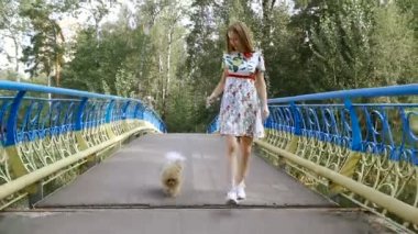 Bir kız ile bir köpek ile bir park yürüme mesafesindedir. Pomeranian Spitz