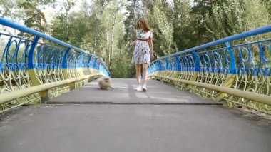 Bir kız ile bir köpek ile bir park yürüme mesafesindedir. Pomeranian Spitz