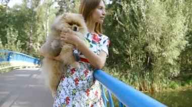 Bir kız ile bir köpek ile bir park yürüme mesafesindedir. Pomeranian Spitz