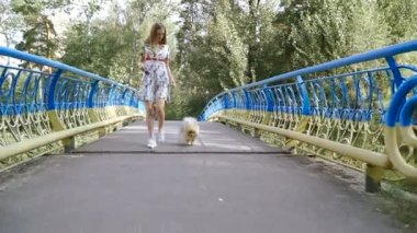 Bir kız ile bir köpek ile bir park yürüme mesafesindedir. Pomeranian Spitz