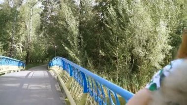Bir kız ile bir köpek ile bir park yürüme mesafesindedir. Pomeranian Spitz
