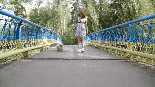 Een meisje loopt met een park met een hond. Pommeren Spitz — Stockvideo