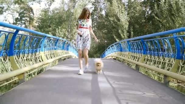 Una chica está caminando con un parque con un perro. Spitz de Pomerania — Vídeo de stock