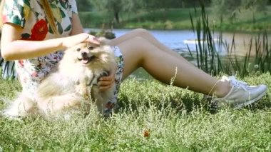 Bir kız ile bir köpek ile bir park yürüme mesafesindedir. Pomeranian Spitz