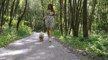 Bir kız ile bir köpek ile bir park yürüme mesafesindedir. Pomeranian Spitz
