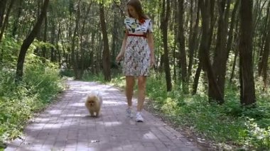 Bir kız ile bir köpek ile bir park yürüme mesafesindedir. Pomeranian Spitz