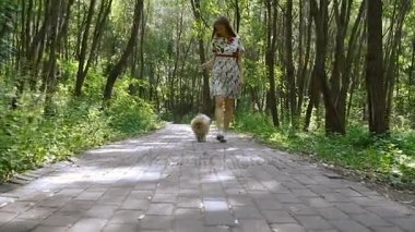 Bir kız ile bir köpek ile bir park yürüme mesafesindedir. Pomeranian Spitz