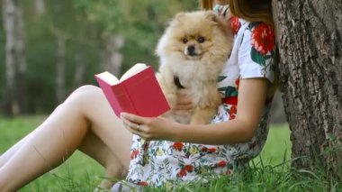 Bir kız ile bir köpek ile bir park yürüme mesafesindedir. Pomeranian Spitz