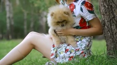 Bir kız ile bir köpek ile bir park yürüme mesafesindedir. Pomeranian Spitz