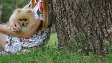 Bir kız ile bir köpek ile bir park yürüme mesafesindedir. Pomeranian Spitz