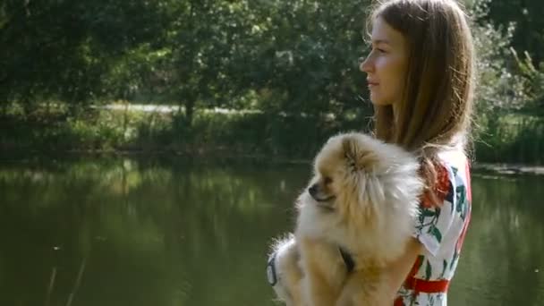 Uma menina está andando com um parque com um cachorro. Spitz da Pomerânia — Vídeo de Stock