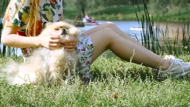 En flicka går med en park med en hund. Pomeranian Spitz — Stockvideo