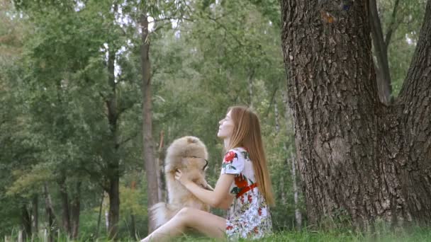 Девушка гуляет с собакой в парке. Померанский шпиц — стоковое видео