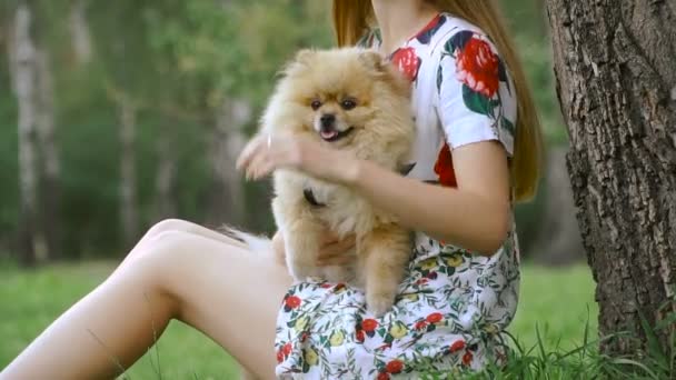 Una ragazza cammina con un parco con un cane. Spitz alla Pomerania — Video Stock