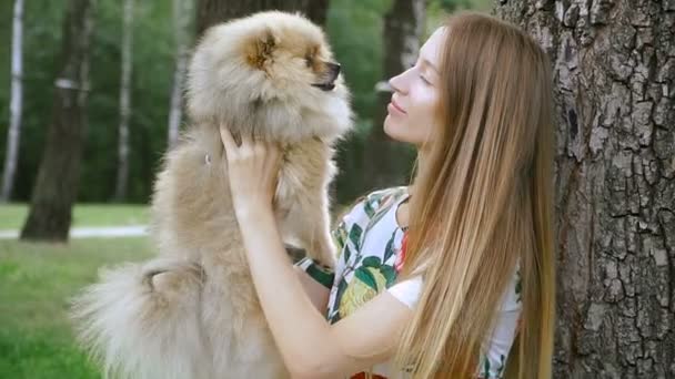 女の子は、犬と公園を歩いています。ポメラニアン ・ スピッツ — ストック動画