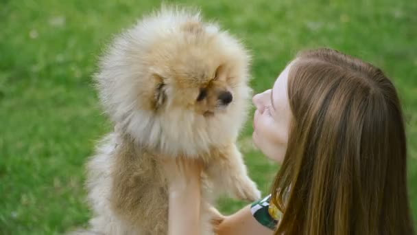 Uma menina está andando com um parque com um cachorro. Spitz da Pomerânia — Vídeo de Stock