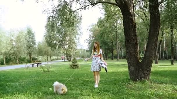 Una chica está caminando con un parque con un perro. Spitz de Pomerania — Vídeos de Stock