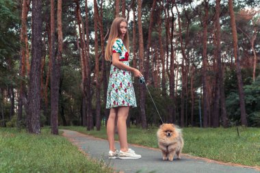 Bir kız ile bir köpek ile bir park yürüme mesafesindedir. Pomeranian Spitz