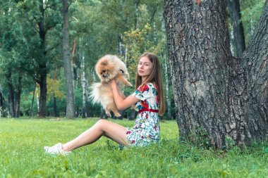 Bir kız ile bir köpek ile bir park yürüme mesafesindedir. Pomeranian Spitz