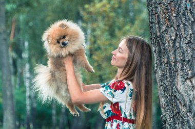 Bir kız ile bir köpek ile bir park yürüme mesafesindedir. Pomeranian Spitz
