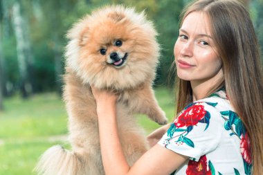 Bir kız ile bir köpek ile bir park yürüme mesafesindedir. Pomeranian Spitz