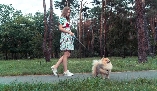 女の子は、犬と公園を歩いています。ポメラニアン ・ スピッツ — ストック写真