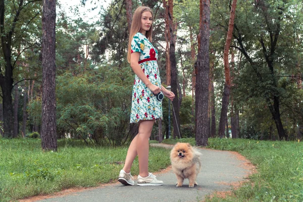 Una ragazza cammina con un parco con un cane. Spitz alla Pomerania — Foto Stock