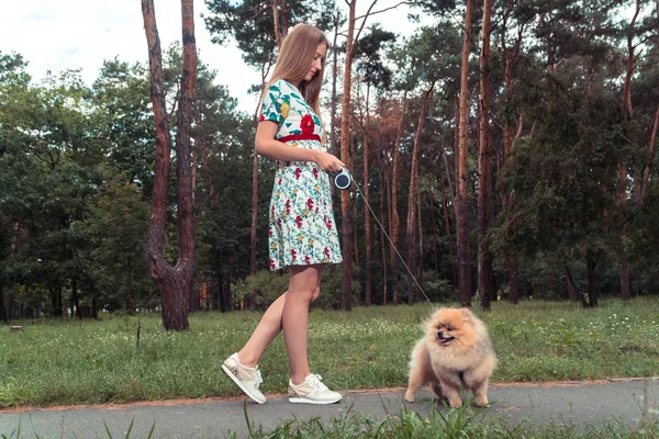 A girl is walking with a park with a dog. Pomeranian Spitz — Stock Photo, Image