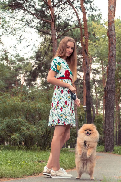 一个女孩走着一个公园，一只狗。博美犬施皮茨 — 图库照片