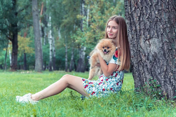 En flicka går med en park med en hund. Pomeranian Spitz — Stockfoto