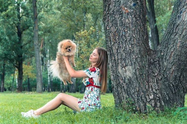 En flicka går med en park med en hund. Pomeranian Spitz — Stockfoto