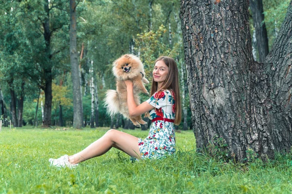 Seorang gadis berjalan dengan taman dengan anjing. Spitz Pomeranian — Stok Foto