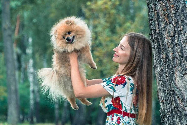 Ein Mädchen geht mit einem Hund im Park spazieren. Pommersche Spitzspitze — Stockfoto