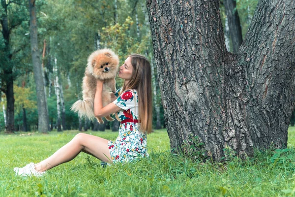Uma menina está andando com um parque com um cachorro. Spitz da Pomerânia — Fotografia de Stock